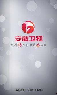 安徽卫视在线回放观看,精彩瞬间回顾